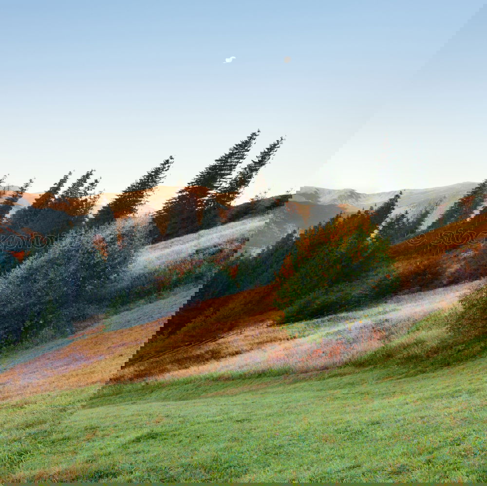 Similar – Image, Stock Photo Watzmann east wall