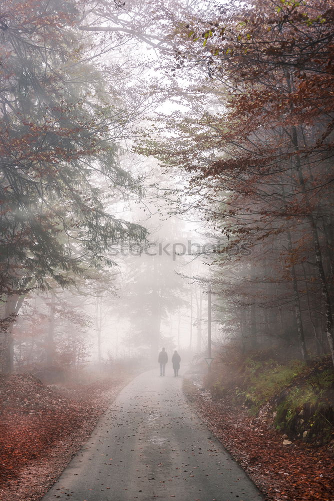 Similar – Man standing on foggy road