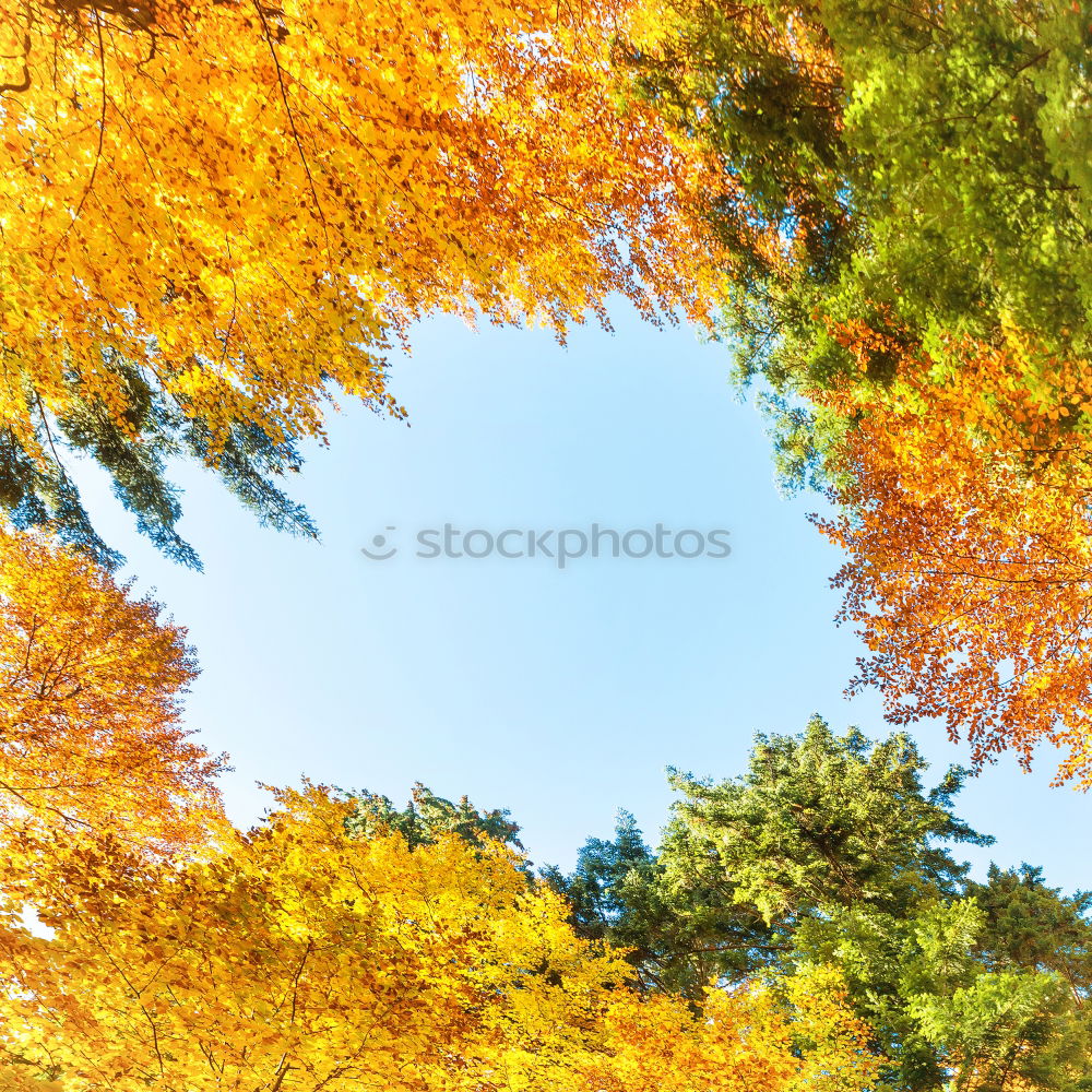 Similar – Image, Stock Photo Weimar Environment Nature