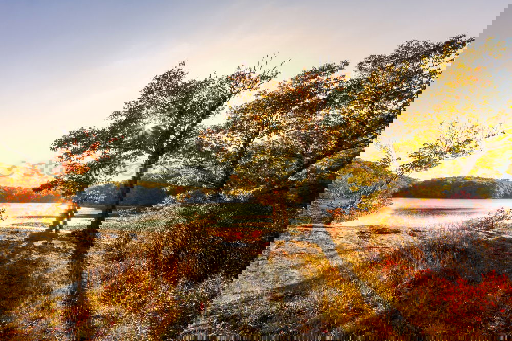 Similar – Image, Stock Photo Archipelago on the Swedish coast