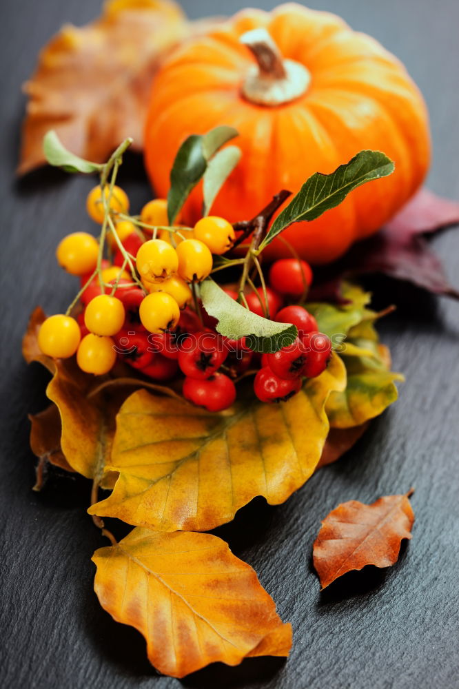 Similar – Image, Stock Photo Autumn decoration handicraft