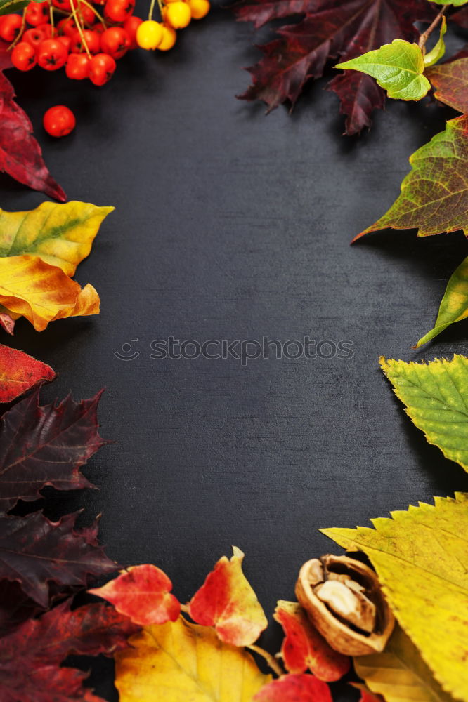 Similar – Image, Stock Photo Autumn decoration handicraft