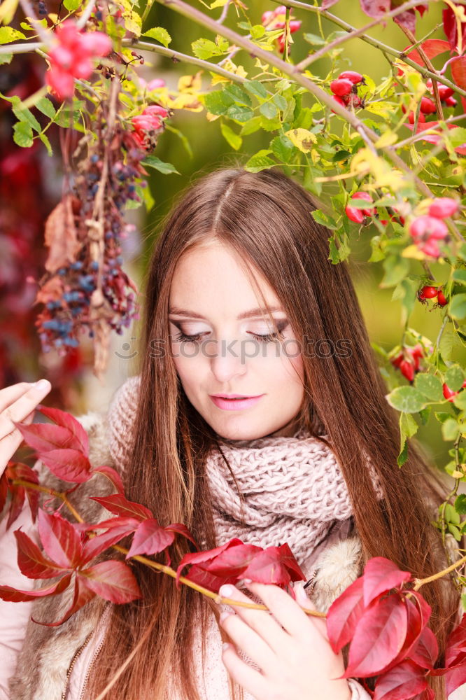 Similar – Image, Stock Photo Miss apple tree. Feminine