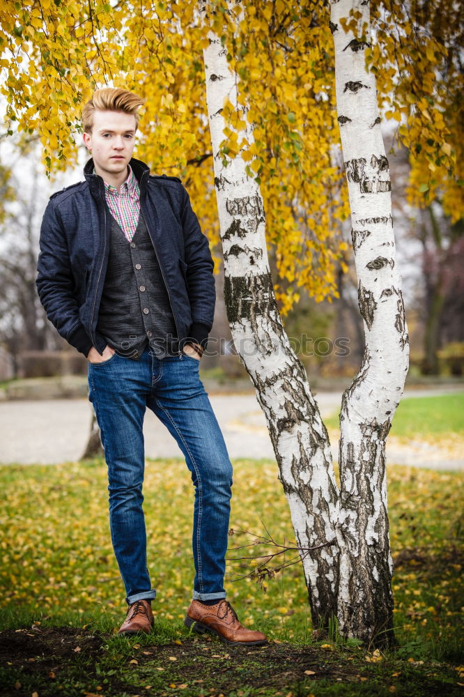 Image, Stock Photo Dennis in the forest at the golden hour