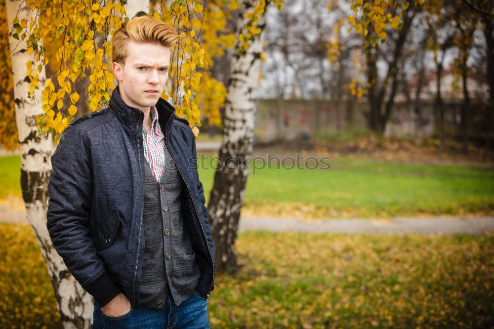 Similar – Image, Stock Photo Dennis in the forest at the golden hour