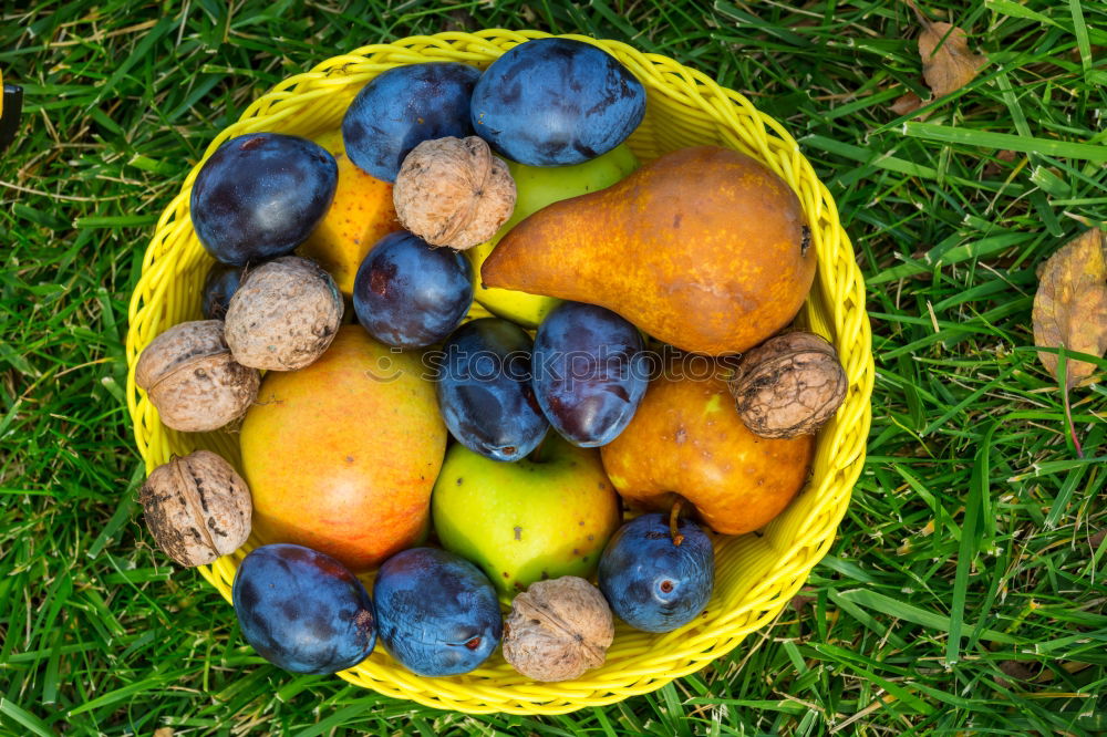 Similar – Image, Stock Photo Figs in yellow bowl Fruit