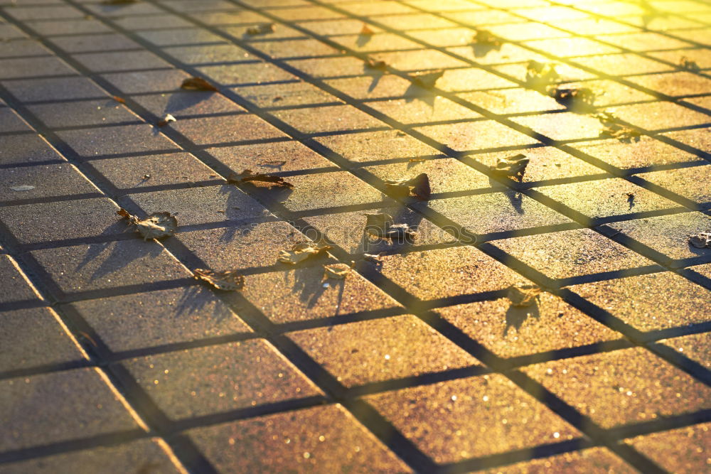 Similar – Image, Stock Photo tennis Tennis court Green