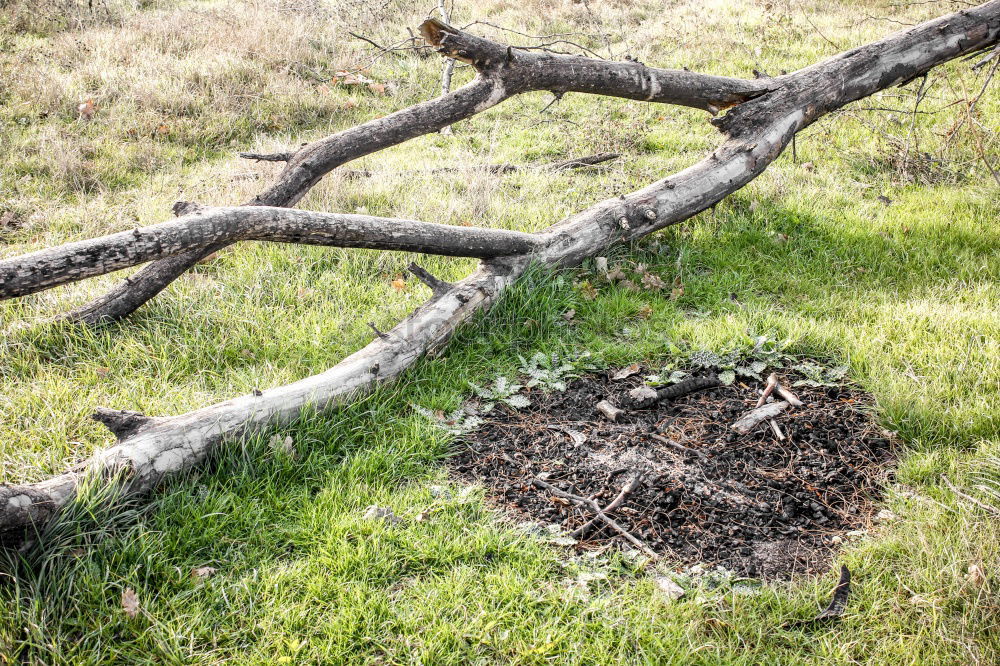 Similar – Image, Stock Photo island Nature Plant Earth