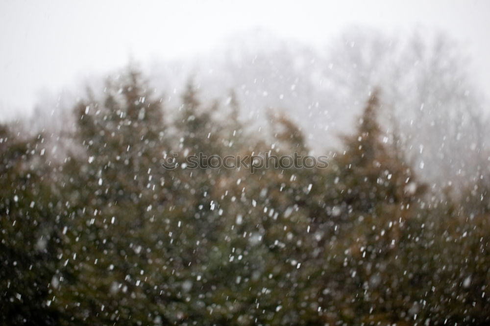 Similar – Image, Stock Photo snow hatching… Snow