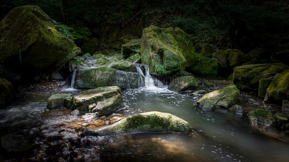 Similar – mystery Nature Landscape