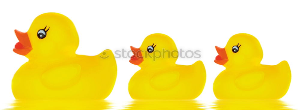 squeaky duck Squeak duck