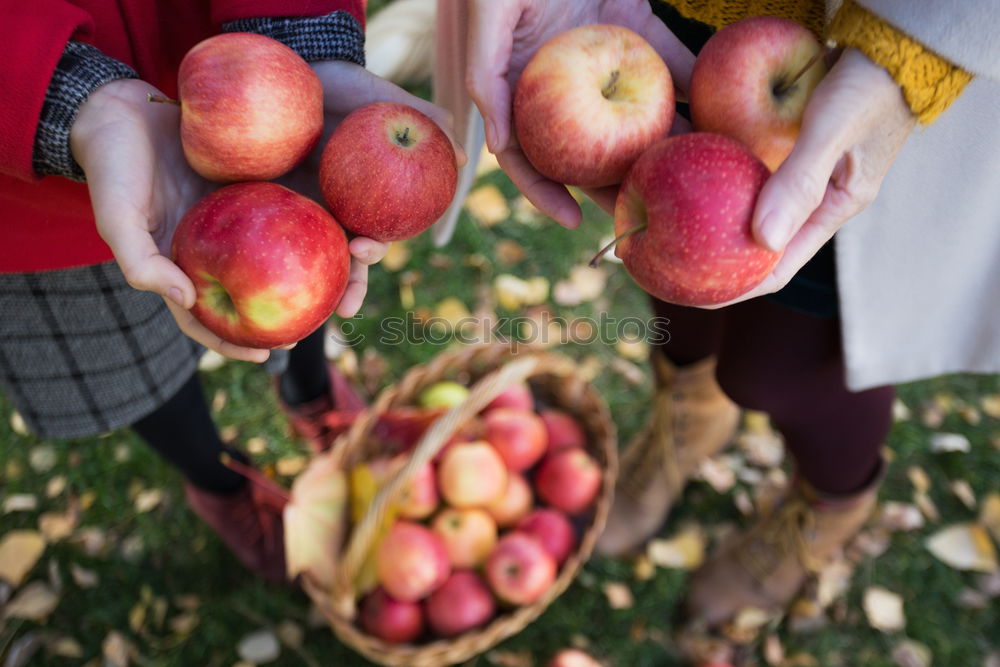 Similar – Image, Stock Photo must Food Nutrition