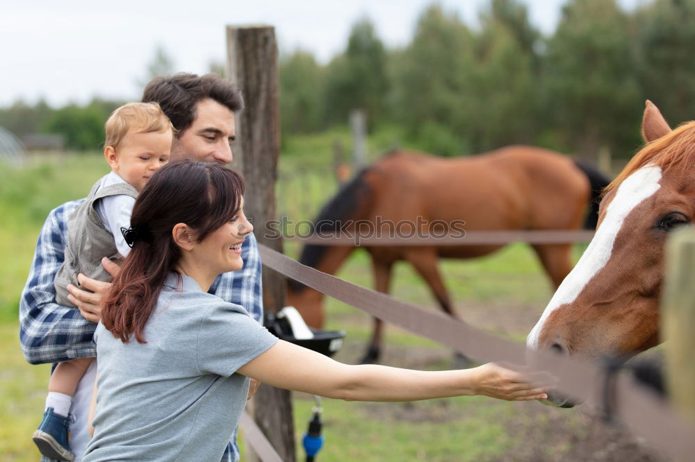 Similar – Image, Stock Photo Beer for horses Lifestyle