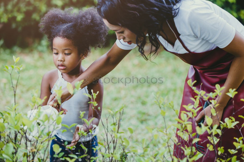 Similar – Black father feeds his son a kiwi