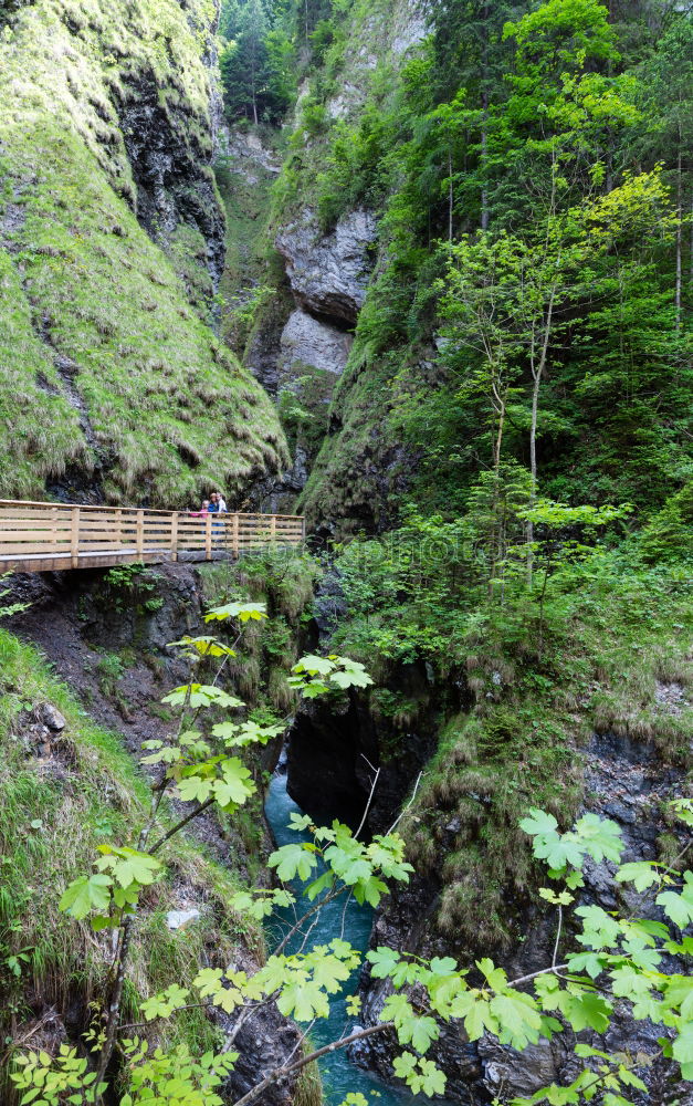 Similar – Image, Stock Photo Bridge in Ticino (CH)