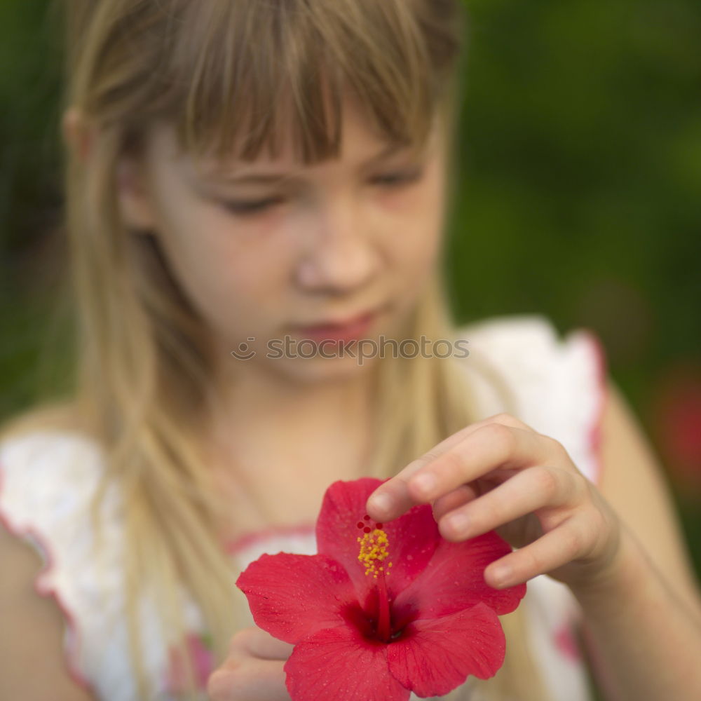 Similar – Woman hold bouquet of origami flowers