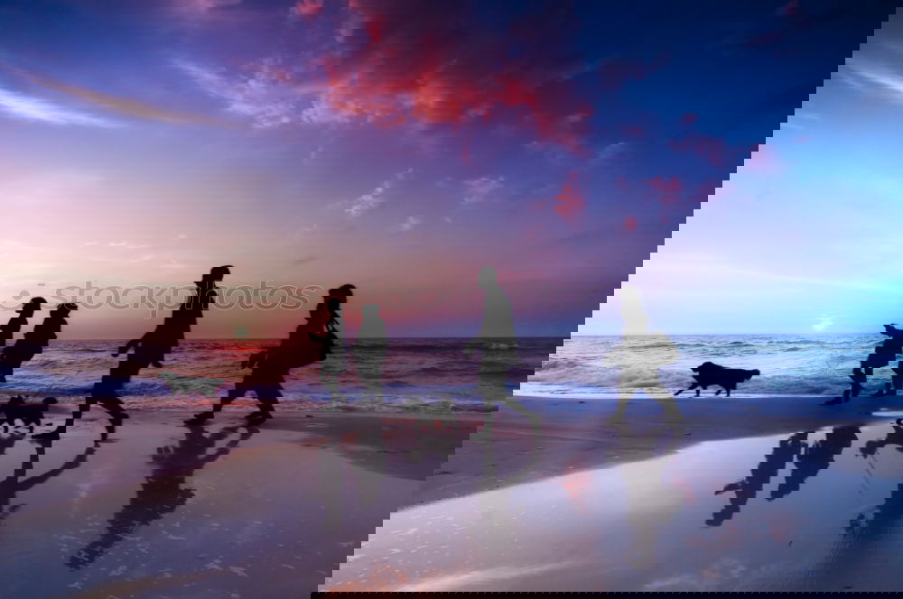 Similar – Image, Stock Photo Hipster friends cheering and dancing at beach party
