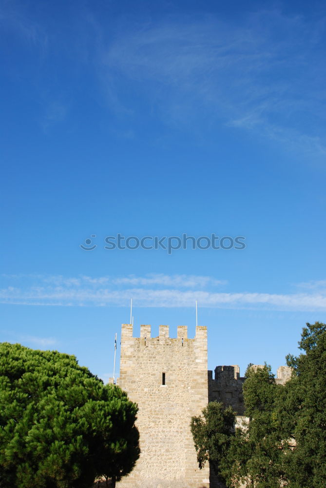 Similar – Image, Stock Photo cementerio Cloudless sky