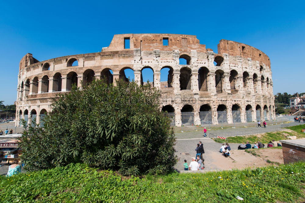 Similar – Image, Stock Photo Colosseum Environment