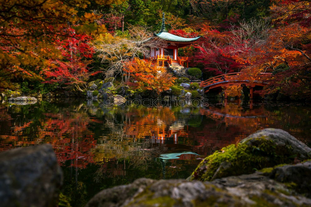 Similar – Image, Stock Photo Japanese arches and path