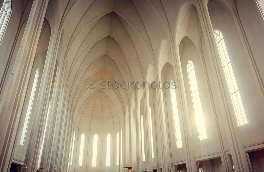 Similar – Image, Stock Photo Münster in Bad Doberan