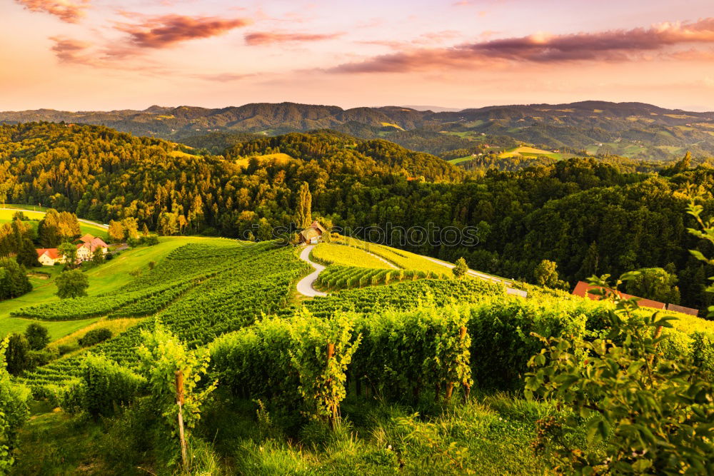 Similar – Image, Stock Photo Spring travel in Austria. Green fields