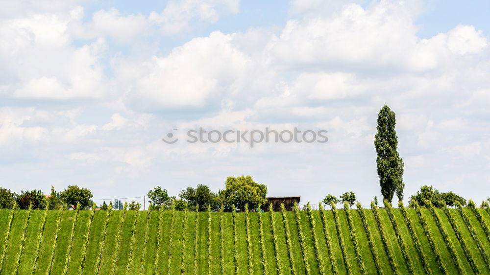 Image, Stock Photo View of Vienna Environment