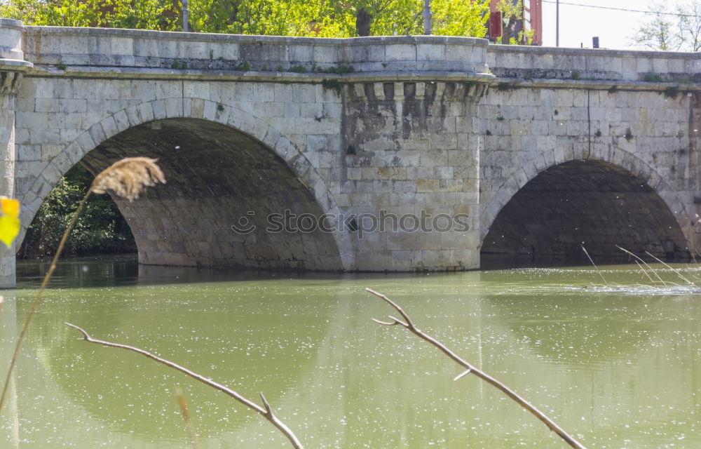 Similar – Image, Stock Photo Seine its banks Bridge