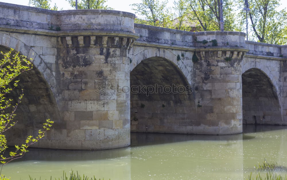 Image, Stock Photo Seine its banks Bridge