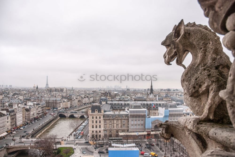 Similar – Image, Stock Photo Gargoyle statue on Notre Dame de Paris