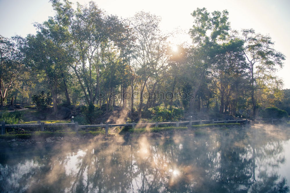 Similar – Weißensee Umwelt Natur