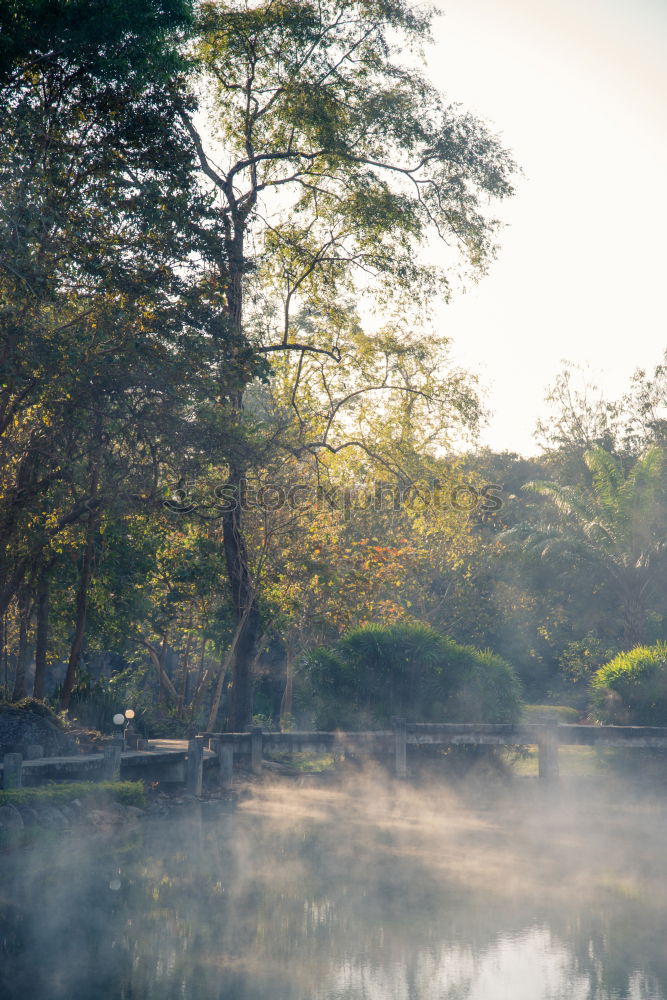 Similar – Image, Stock Photo Bridge and green forest
