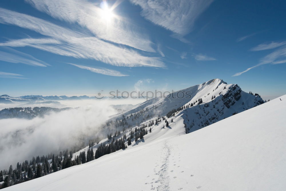 Similar – Image, Stock Photo skiing instructor