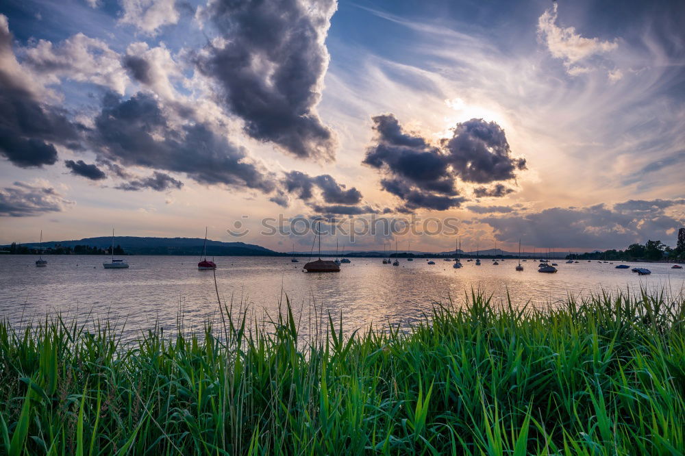 Similar – Image, Stock Photo radiant Nature Landscape