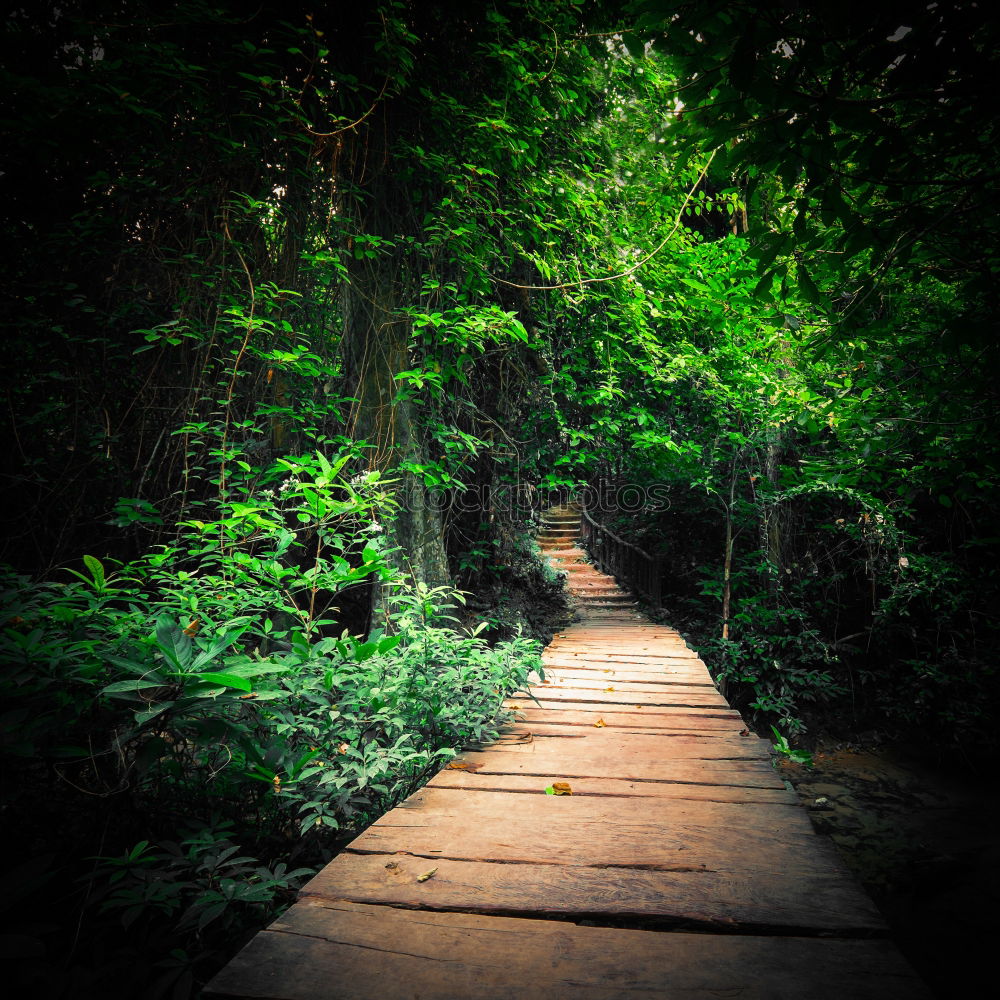 Similar – pedestrian bridge