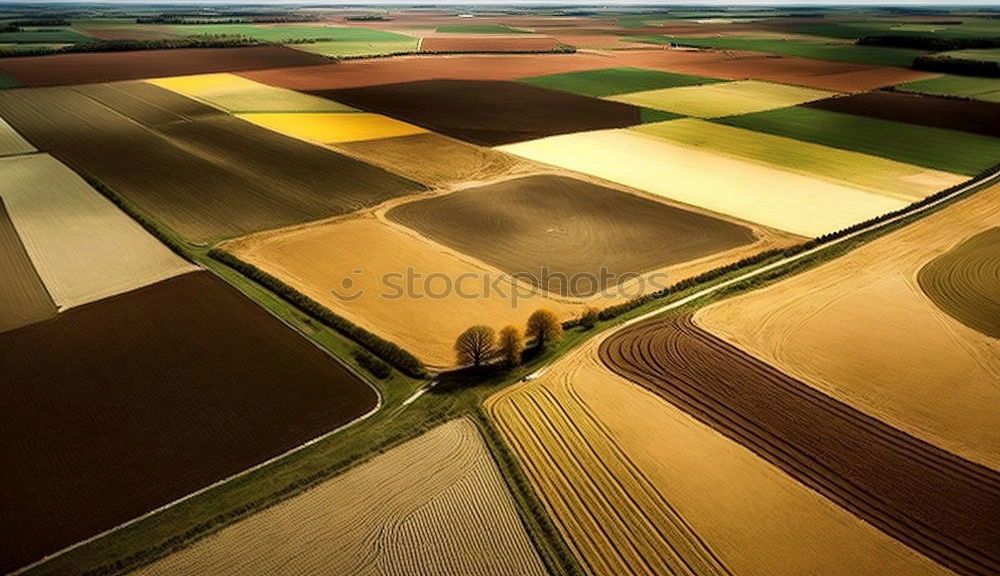 Similar – Image, Stock Photo rapsfeld Canola Plant