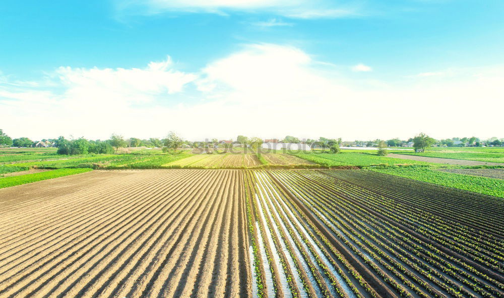 Similar – Image, Stock Photo Farmer cultivates field