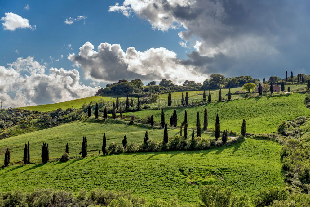 Similar – Winding paths with cypress trees between the green fields.