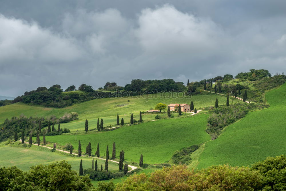 Similar – Church in wine Environment