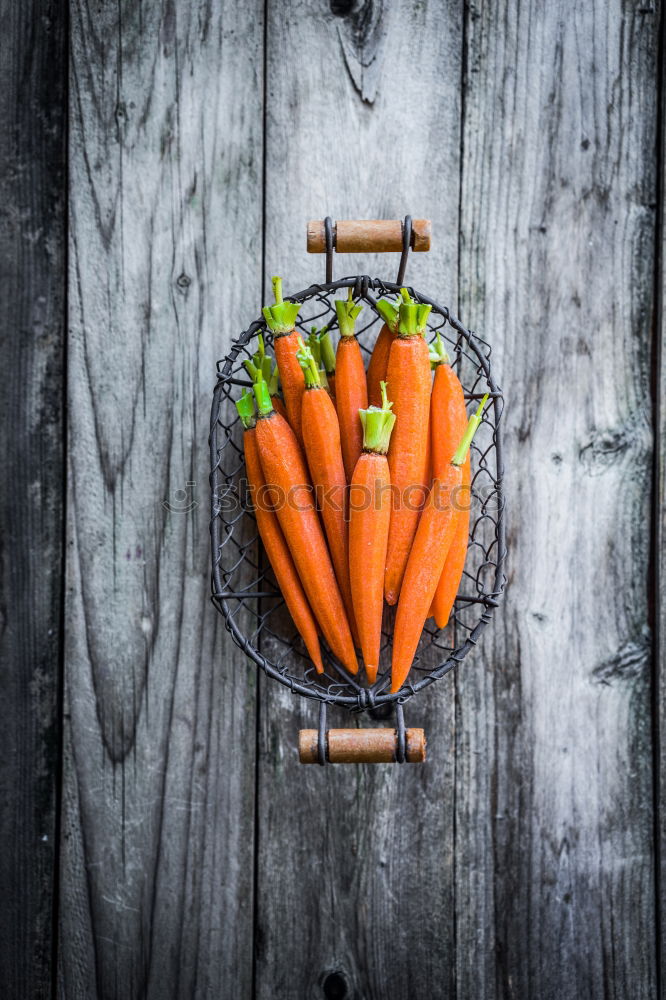 Similar – Two large ripe carrots lie in female hands