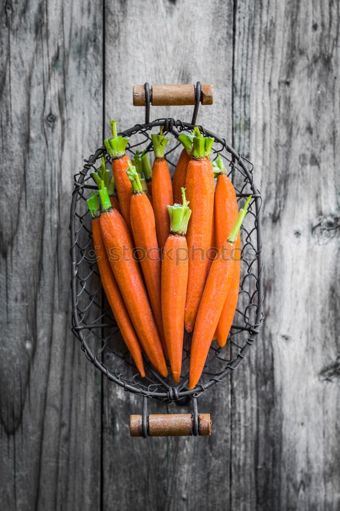 Similar – Two large ripe carrots lie in female hands