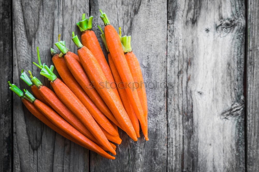 Similar – Fresh carrots tied with a rope