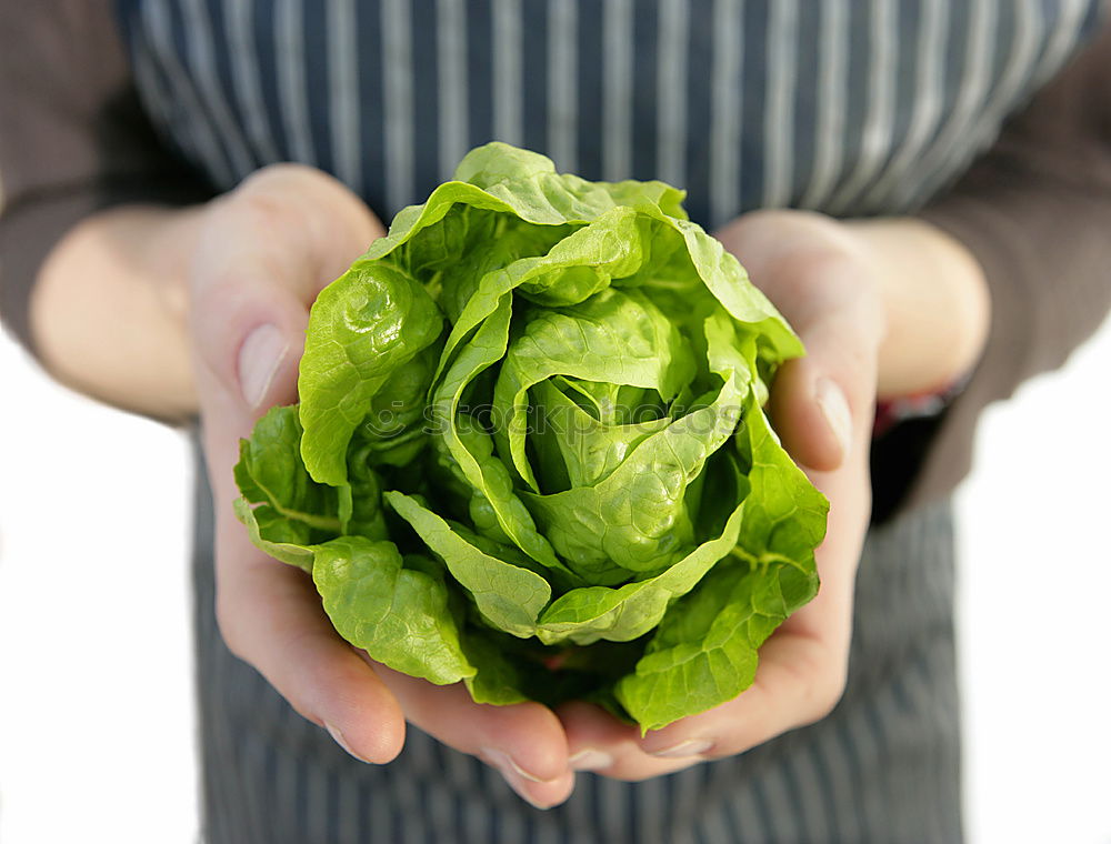 Similar – Image, Stock Photo Green vegetables Food