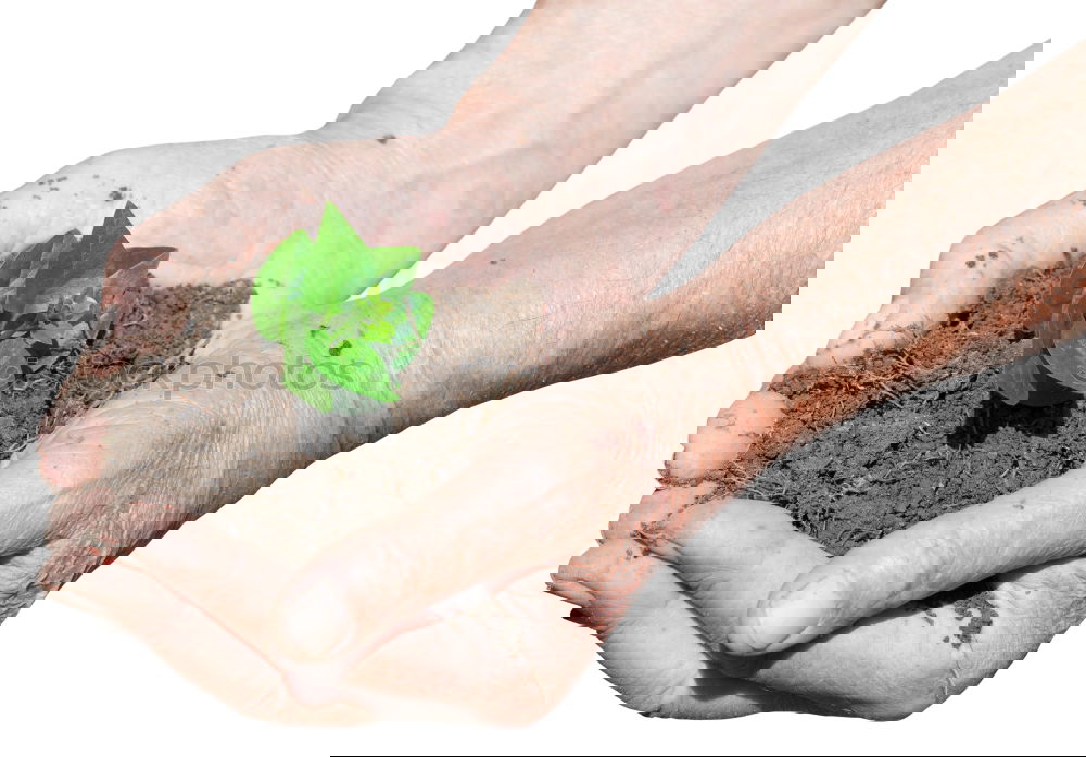 Similar – Image, Stock Photo Hands full with fertile soil