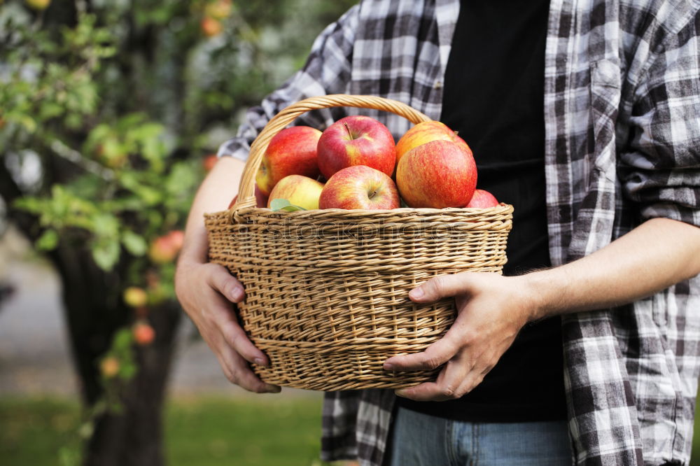 Similar – Apple harvest Gardening