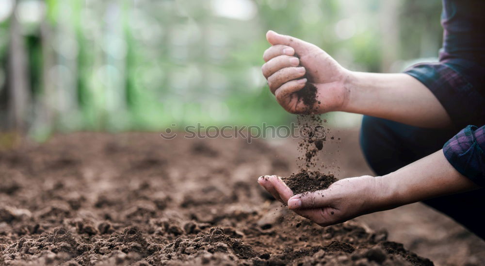 Similar – Image, Stock Photo Two supple athletic young women working out together in the countryside doing bending and stretching exercises