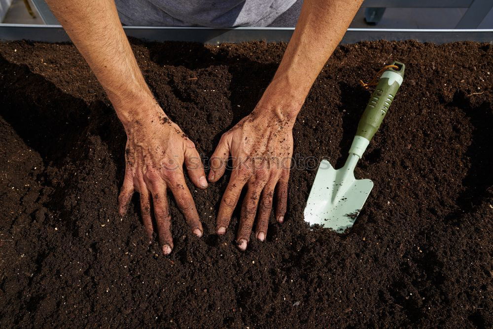 Similar – Planting potatoes