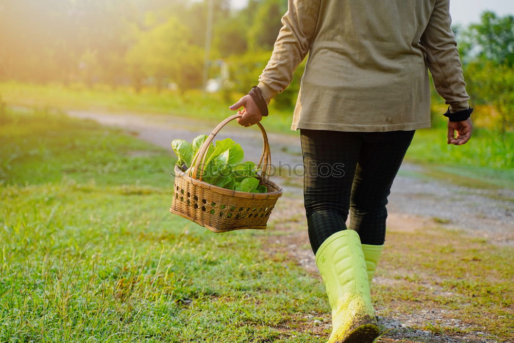 Similar – Image, Stock Photo Close up of a gardener standing in a garden with his tools