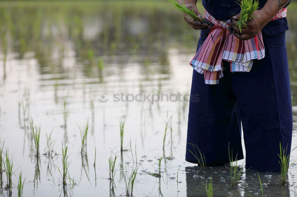 Similar – Image, Stock Photo high water Adventure