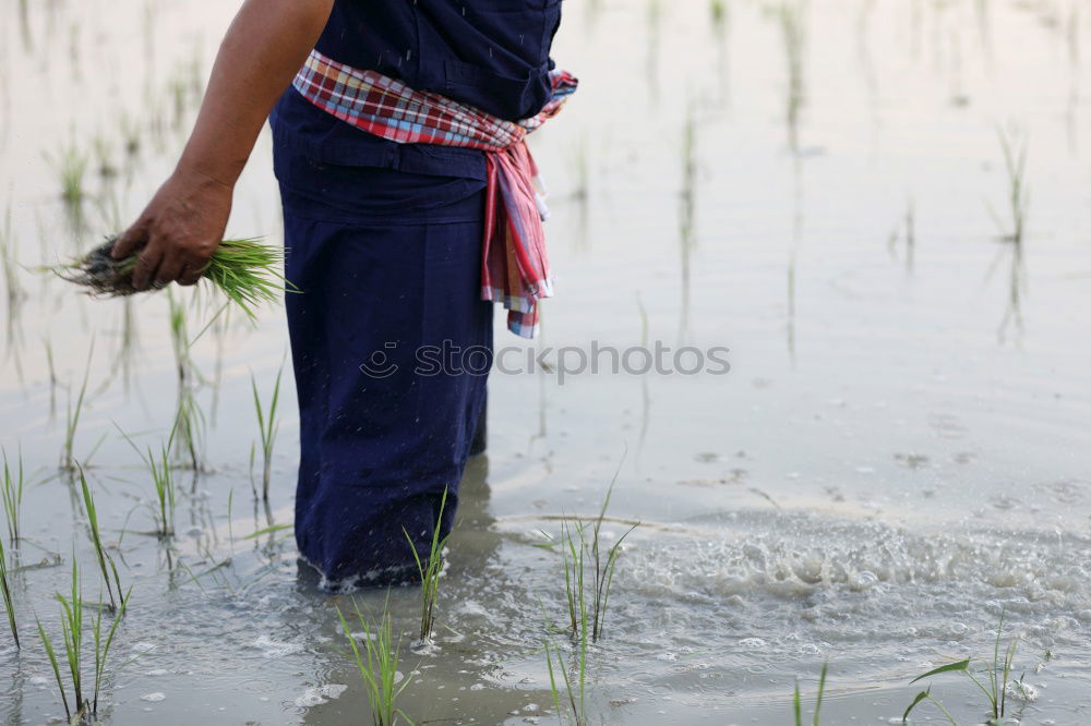 Similar – Foto Bild PC-User bei der Arbeit